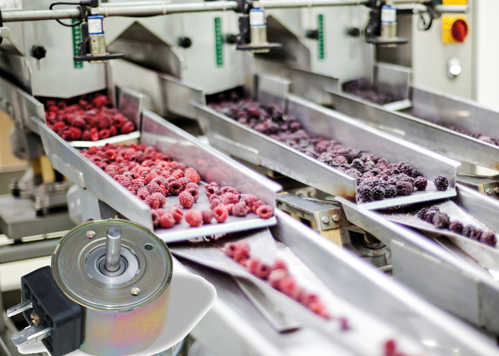Kuhnke magneten worden in de foodsector onder meer toegepast in transport- en sorteersystemen voor fruit