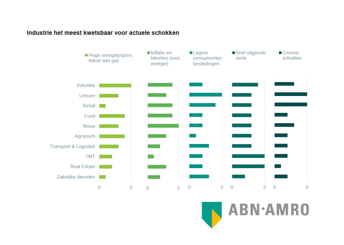 ABN AMRO verwacht dat de Russische levering van gas dit najaar daalt tot een derde van de invoer in 2021.